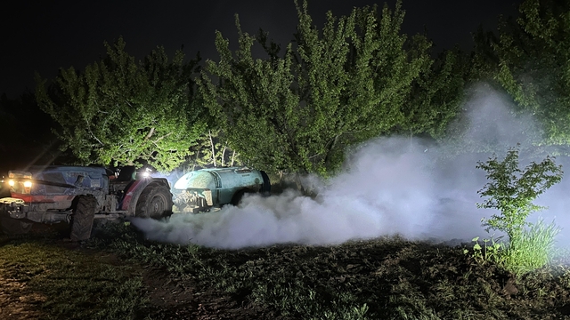 Çiftçiler, zirai dona karşı traktörlerle sis bulutu oluşturup sabaha kadar nöbet tutuyor