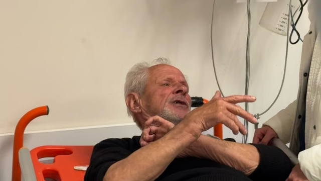 Zeytinlikte ayı saldırısında yaralandı