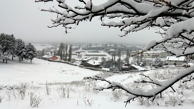 Ardahan ve Kars'ta kar etkili oldu