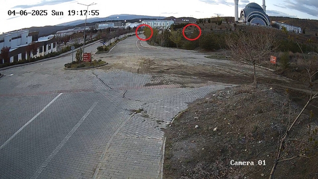 Köpeklerden kaçarken duvardan düşen Arda'nın bacağı kırıldı