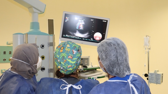 Harran Üniversitesinde akciğer hastalıklarıyla mücadelede yenilikçi yöntemler kullanılıyor