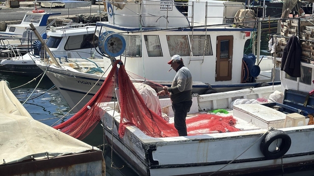 Marmara'yı müsilaj vurdu; Tekirdağlı balıkçılar av sezonunu kapattı