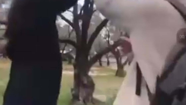 Arkadaşını darbeden öğrenci adli kontrolle serbest