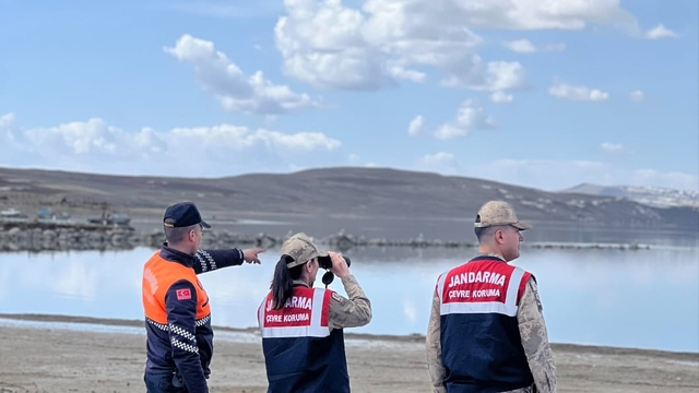 Bitlis'te jandarma, inci kefalini korumak için çalışma başlattı