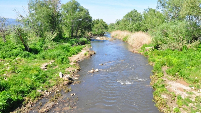 Gediz Nehri'nde bitmeyen kirlilik