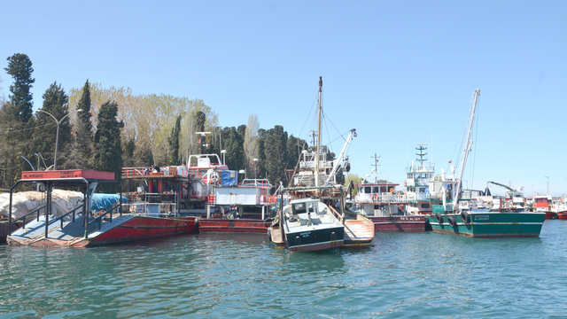Kocaeli'de balıkçılar tekne ve ağlarını bakıma aldı