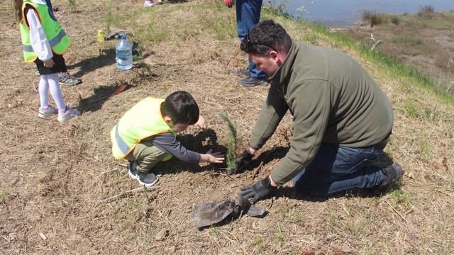 Yalova'da fidan dikimi yapıldı