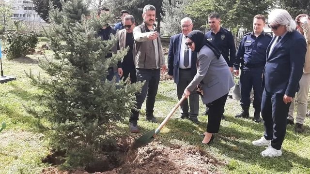 Pınarhisar'da "Aile Yılı" kapsamında fidan dikildi