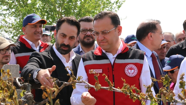 Bakan Yardımcısı Gizligider: 36 bin 738 üreticimiz don zararına uğradı