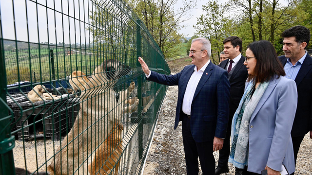 Sokak hayvanlarına 51 ilde doğal yaşam alanları