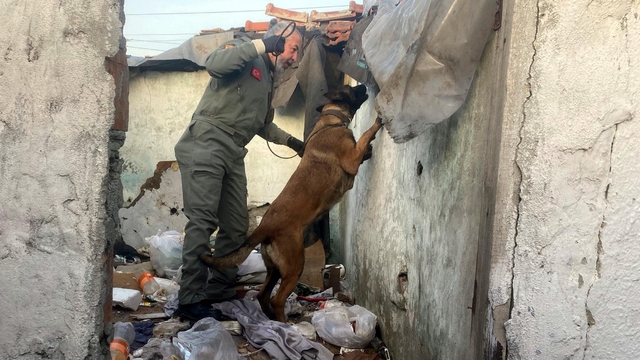 Tekirdağ'da ruhsatsız silahlar ile uyuşturucu ele geçirildi; 10 gözaltı