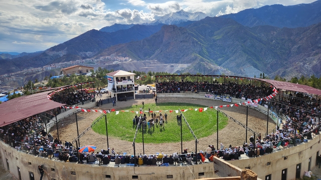 Artvin'de boğa sahibini yaraladı