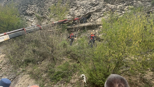 Karabük'te kayalık alana düşen inek kurtarıldı