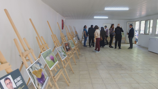 Galeri