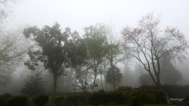 Orta ve Doğu Karadeniz'de hava ulaşımına sis engeli