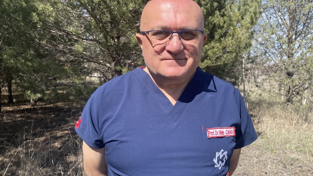 Yerleşim yerlerine inen bozayılara "öz çekim için yaklaşmayın"