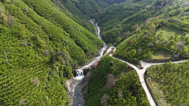 Ordu'da yeşilin tonları arasındaki Çiseli Şelalesi ilgi görüyor