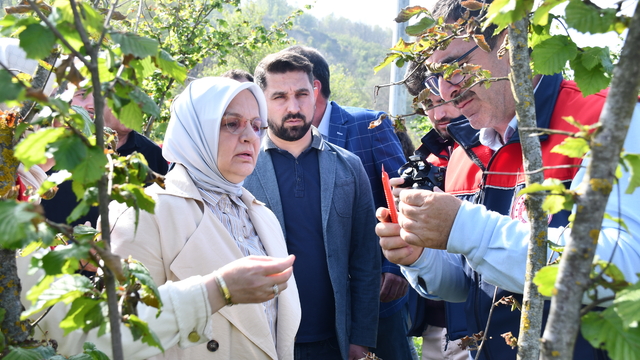 AK Parti Düzce Milletvekili Keşir, zirai dondan etkilenen tarım arazilerinde inceleme yaptı