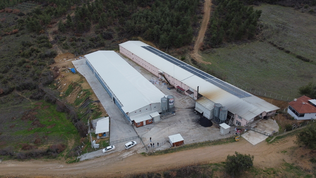 Bilecikli girişimci, devlet desteğiyle tavuk yetiştiriciliği yaptığı alanı büyüttü