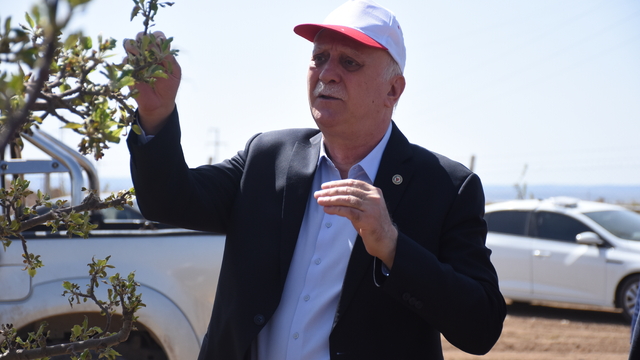 TZOB Genel Başkanı Bayraktar, Karaman'da zirai dondan etkilenen elma bahçelerini inceledi