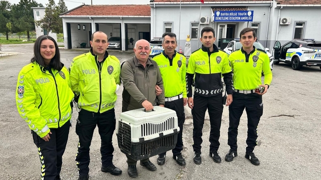 Samsun'da yaralı halde bulunan doğan koruma altına alındı