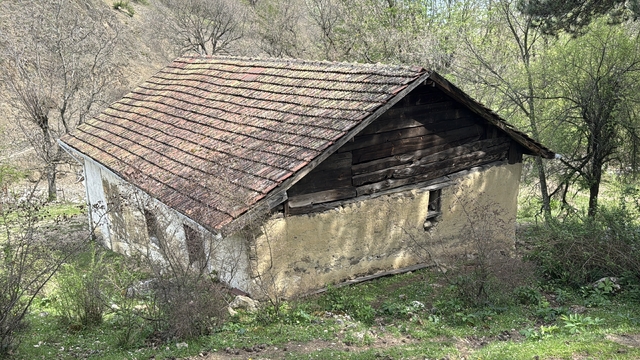 Galeri