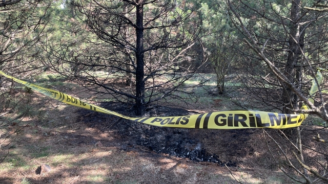 Deniz, ormanda yakılarak öldürüldü