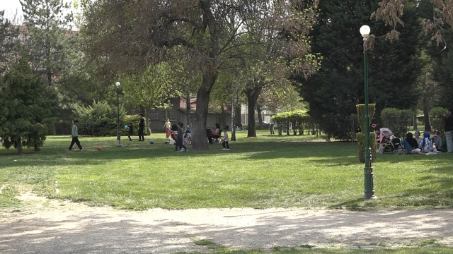 Sokak köpeğinin saldırdığı 2 çocuk yaralandı