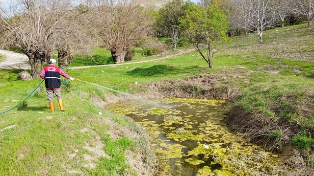 Ağın'da 16 köyde ilaçlama çalışması yapıldı