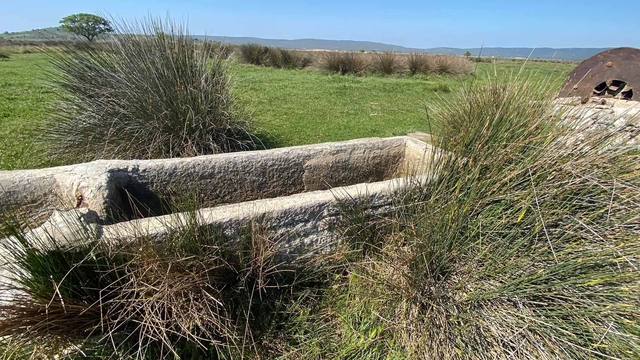 Çanakkale'de, İngiliz ve Fransızlar arkeolojik kazı yapıp, buldukları eserleri ülkelerine götürmüş
