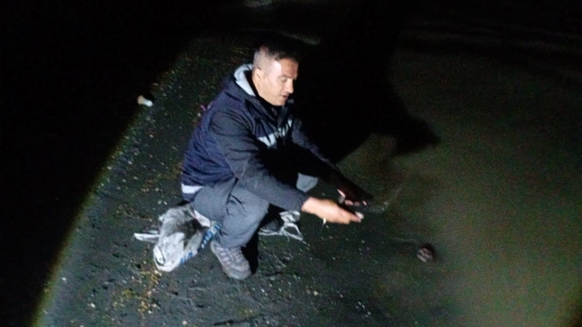 Van'da kaçak avlanan 60 kilo canlı inci kefali ele geçirildi