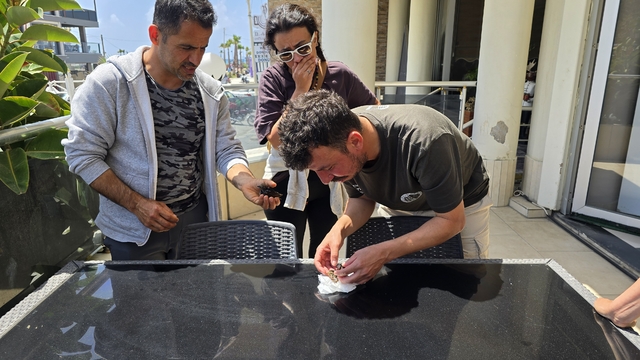 Milleyha'da kuşlara yapıştırıcıyla 'ölüm tuzağı'