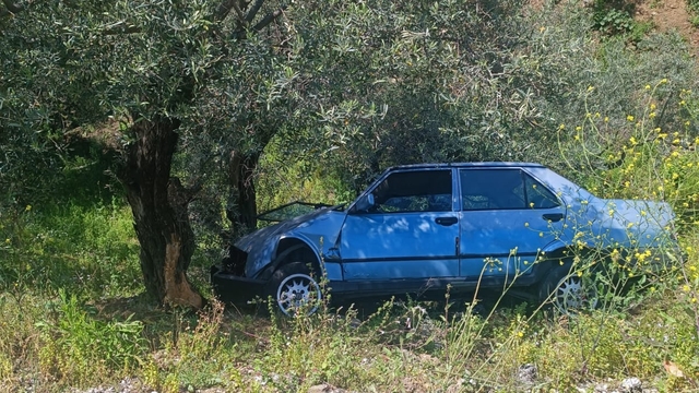 Ödemiş'te ağaca çarpan otomobildeki 3 kişi yaralandı