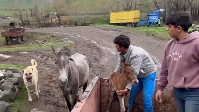 'Kral', yine yalnız bırakmadı