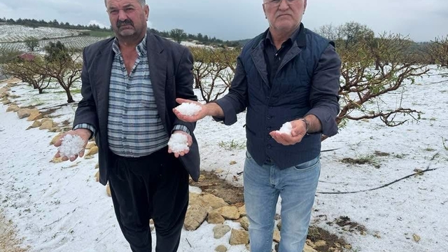 Mersin'de tarım ürünlerini dondan sonra dolu vurdu