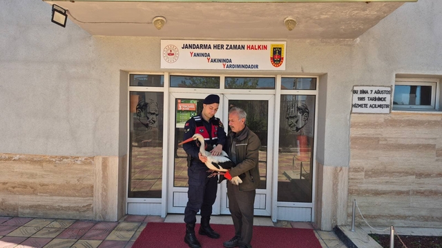 Yozgat'ta jandarmanın bulduğu yaralı leylek tedaviye alındı