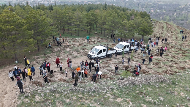 Kayseri'de 3 bin karaçam ve sedir fidanı toprakla buluştu