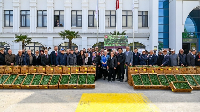 Yalova'da çiftçilere 375 bin adet salatalık ve biber fidesi dağıtıldı