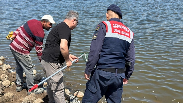 Diyarbakır'da sulama göletindeki balık ölümleri üzerine inceleme başlatıldı