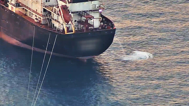 Antalya Körfezi'nde sintine atığı alarmı; kirlilik 3 kat arttı