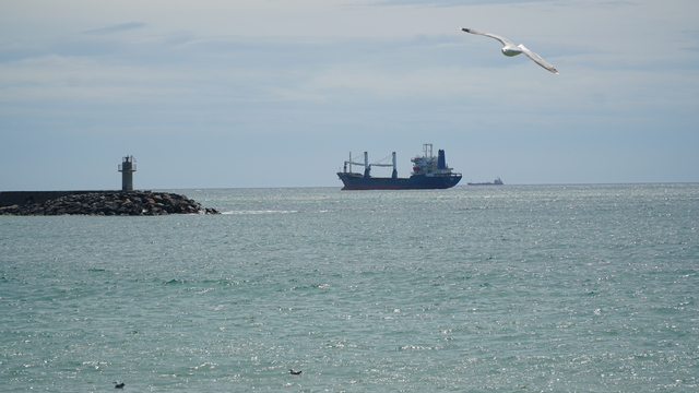 Tekirdağ'da poyraz 5 gündür deniz ulaşımını olumsuz etkiliyor