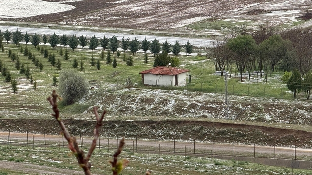 Galeri