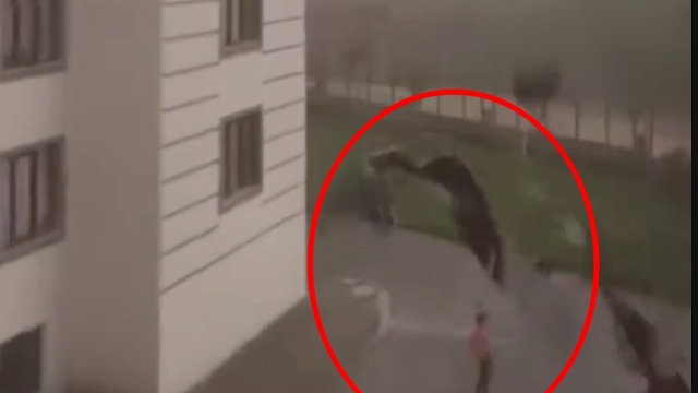 Diyarbakır ve Batman'da fırtına; çatı ve ağaçlar, araçların üzerine devrildi (4)