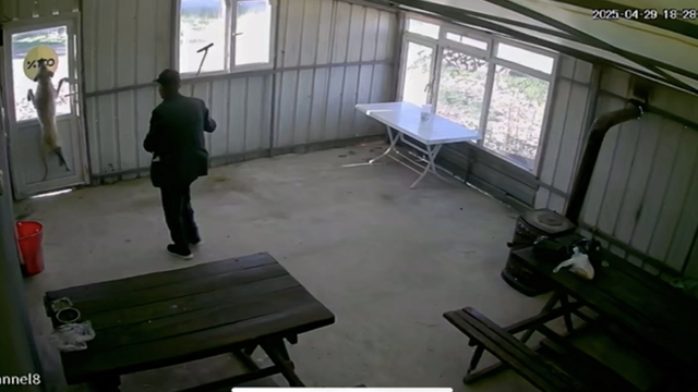 Edirne'de 5 aylık köpek köy sakini tarafından bastonla dövüldü