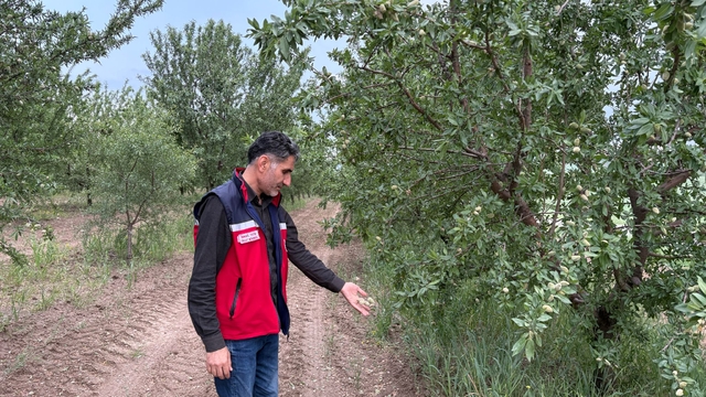 Adıyaman'da dolu etkili oldu