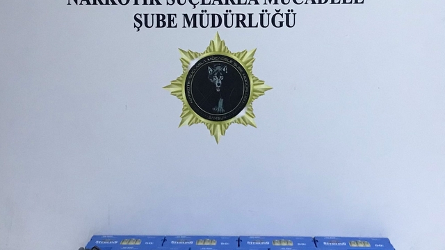 Samsun'da silah kaçakçılığı operasyonunda 2 kişi yakalandı