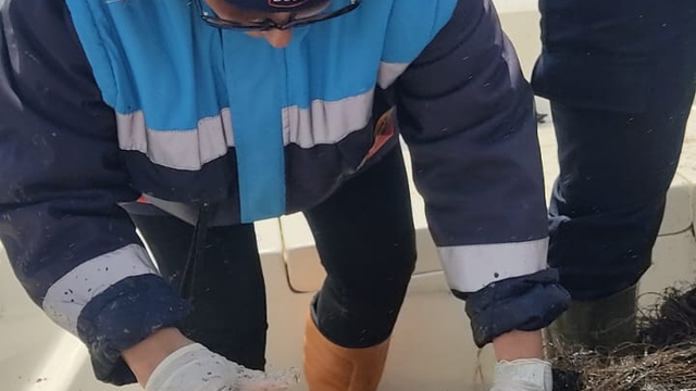 Seben Gölü'nden 500 metre hayalet ağ çıkarıldı