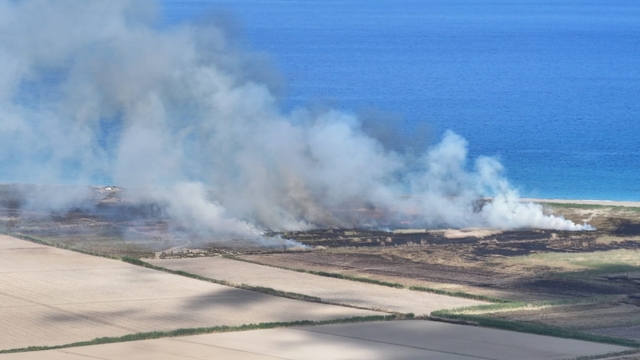 Mersin Göksu Deltası'nda sazlık alanda çıkan yangın söndü