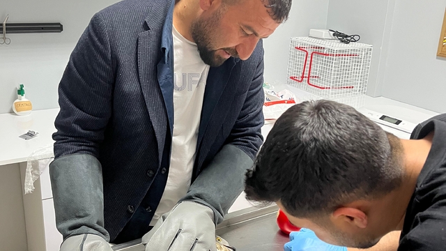 Konya'da bir evin bahçesinde yaralı bulunan şahin tedavi altına alındı