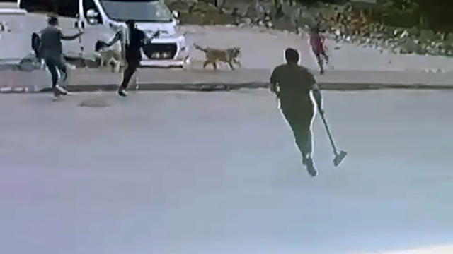 Sokak köpeklerinin saldırdığı çocuğu esnaf kurtardı